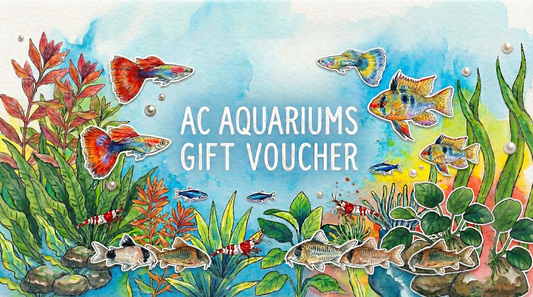 AC Aquariums Gift Card