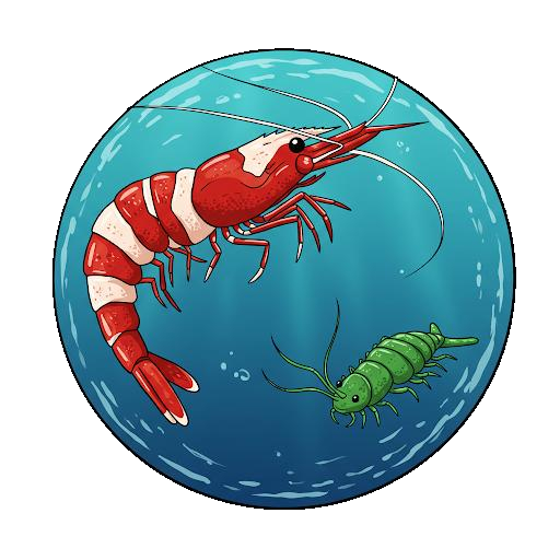 AC Aquariums