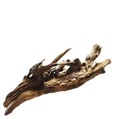 Mekong River Driftwood